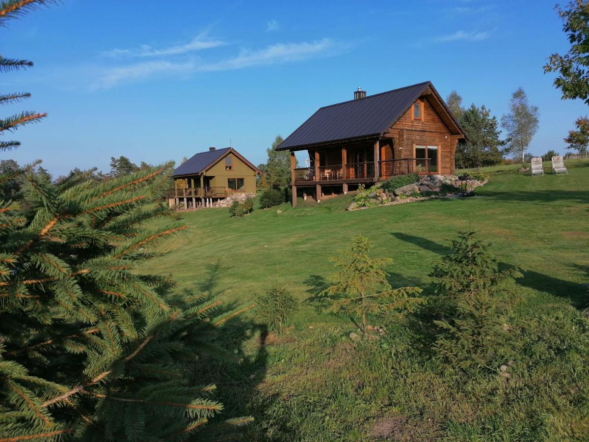 Vip Forest Dreams Villa Анікщяй Екстер'єр фото