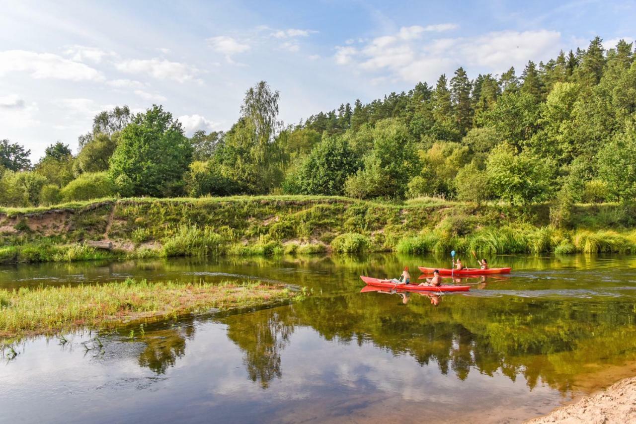 Vip Forest Dreams Villa Анікщяй Екстер'єр фото