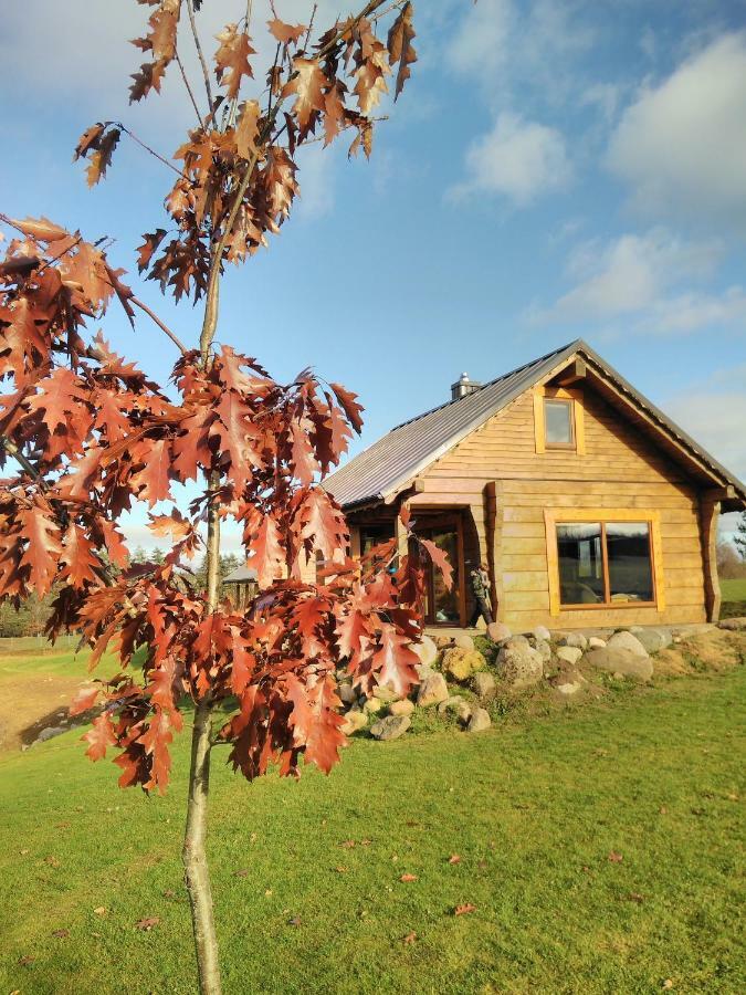 Vip Forest Dreams Villa Анікщяй Екстер'єр фото