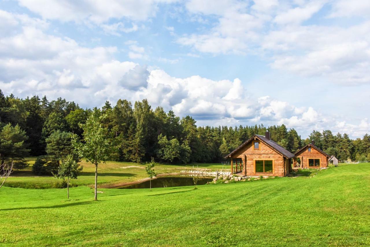 Vip Forest Dreams Villa Анікщяй Екстер'єр фото