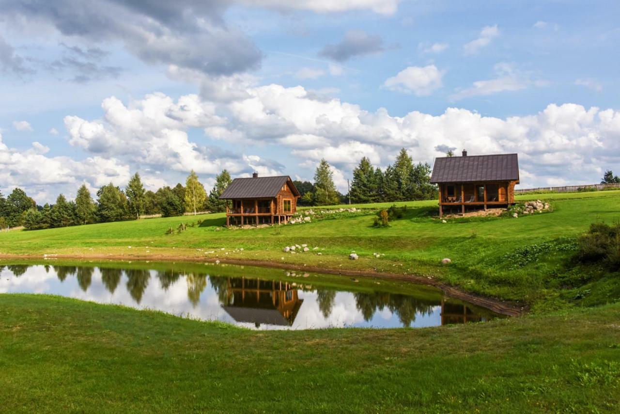 Vip Forest Dreams Villa Анікщяй Екстер'єр фото