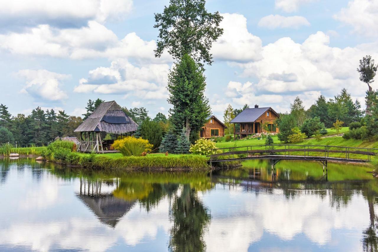 Vip Forest Dreams Villa Анікщяй Екстер'єр фото